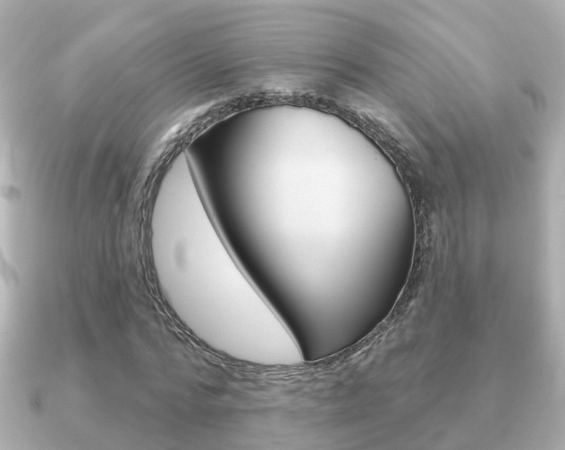 X0000091230776200708091113