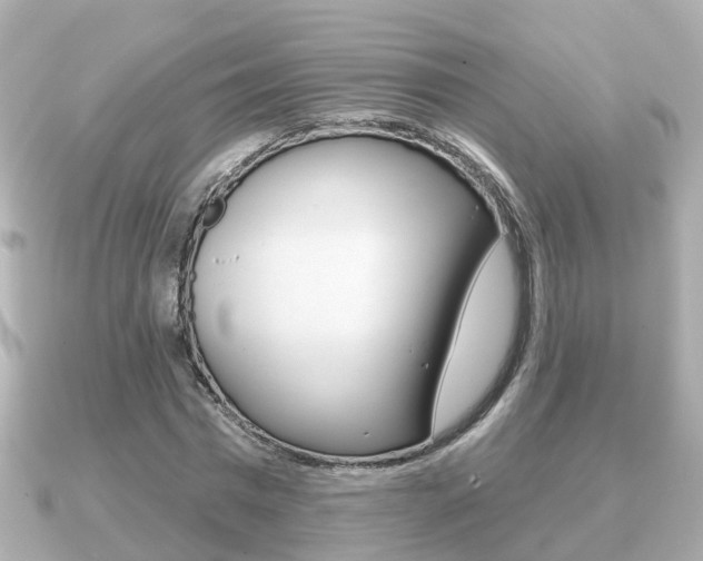 X0000091230777200708091113