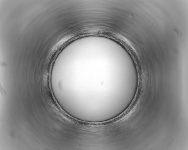 X0000091230778200708091113