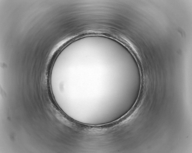 X0000091230779200708091112