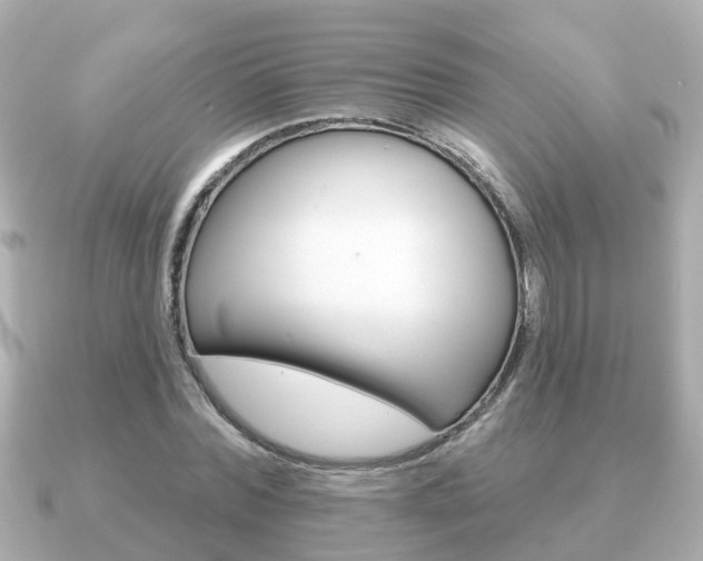 X0000091230780200708091112
