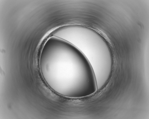 X0000091230784200708091112