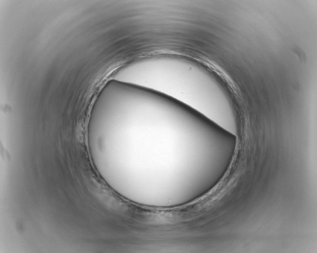 X0000091230785200708091112
