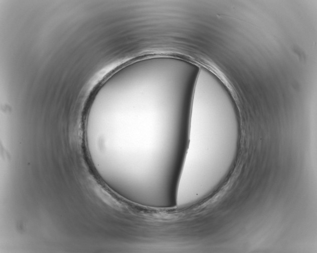 X0000091230787200708091112