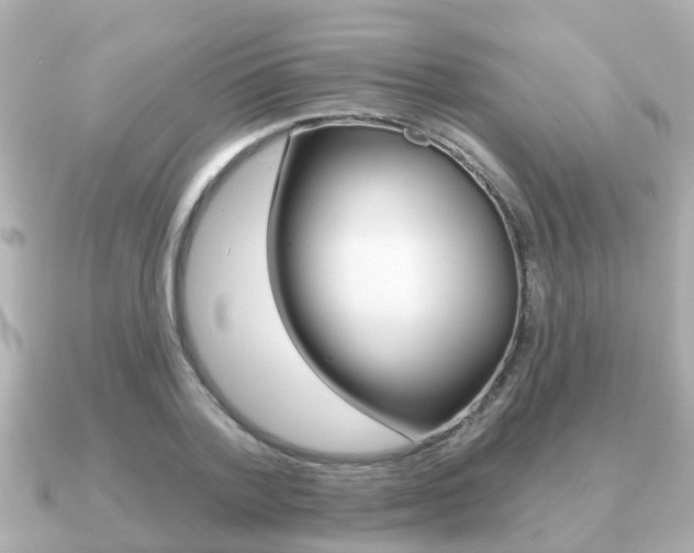 X0000091230788200708091112