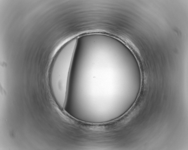 X0000091230789200708091112
