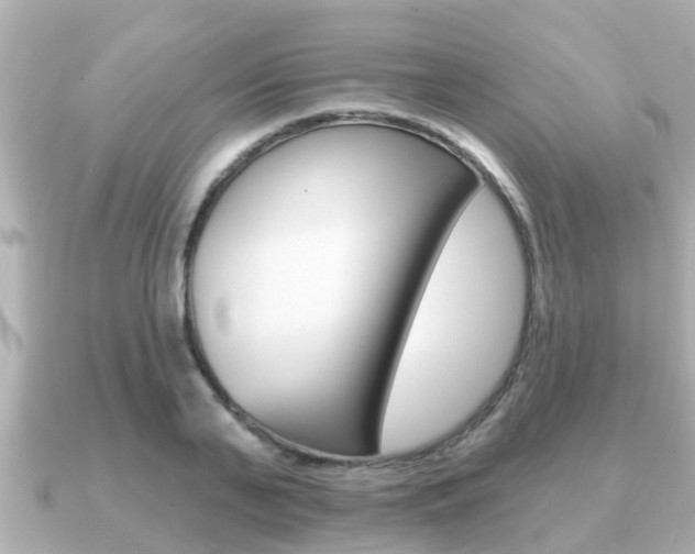 X0000091230791200708091112