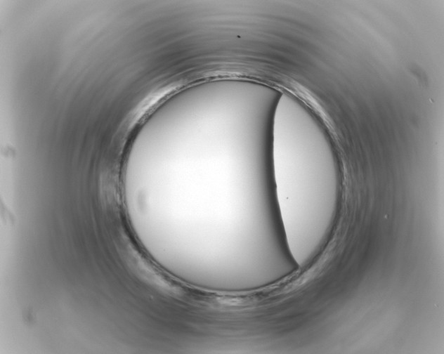 X0000091230794200708091112