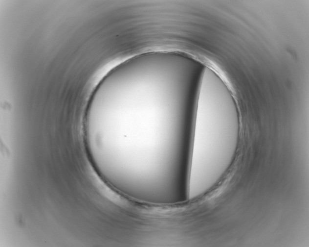 X0000091230803200708091112