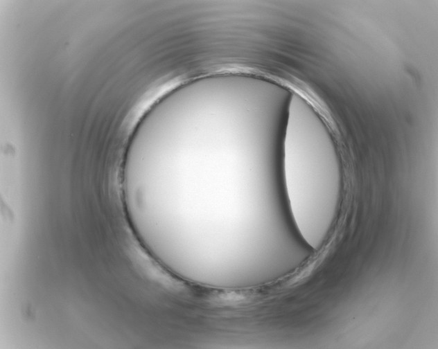 X0000091230806200708091112