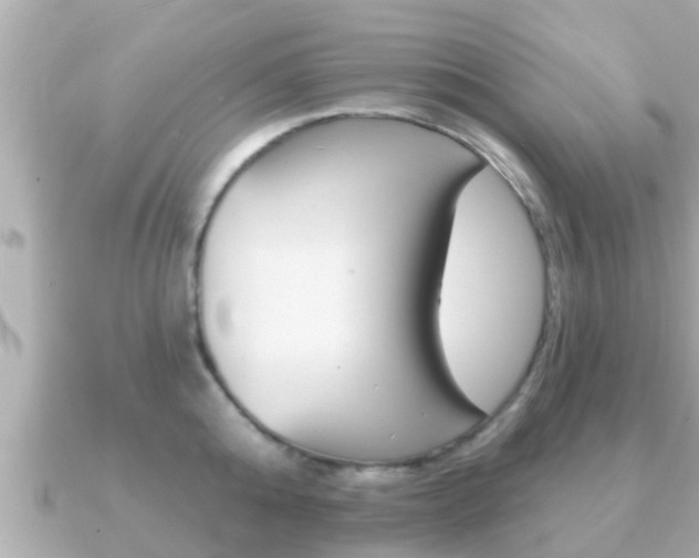 X0000091230808200708091112