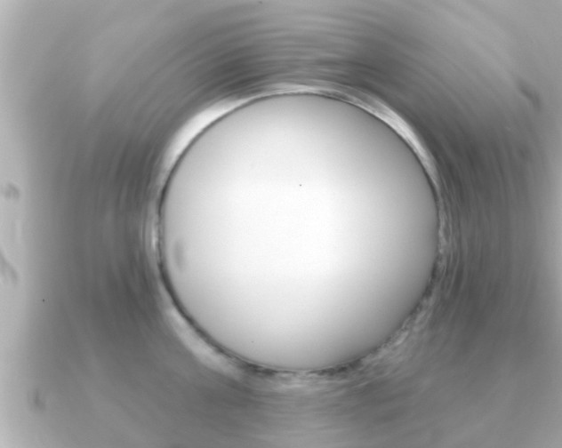 X0000091230811200708091112