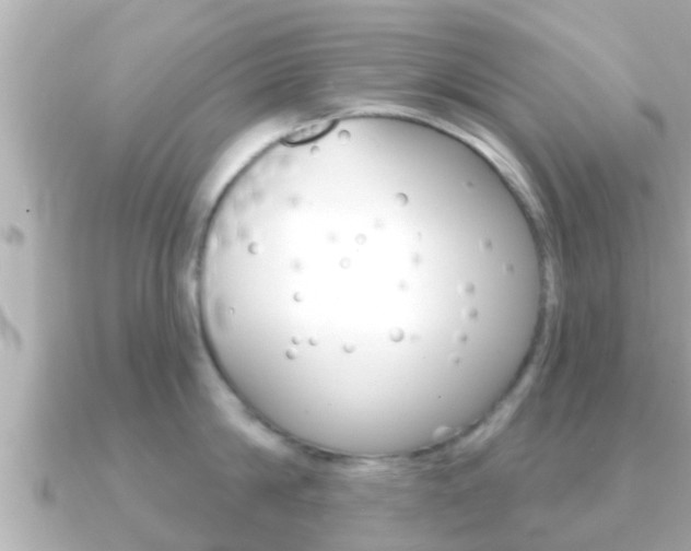 X0000091230814200708091112