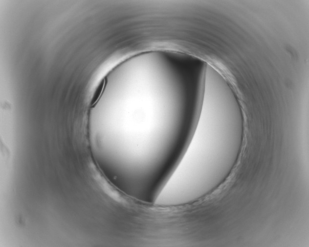 X0000091230816200708091112