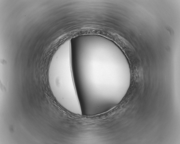X0000091230821200708091112