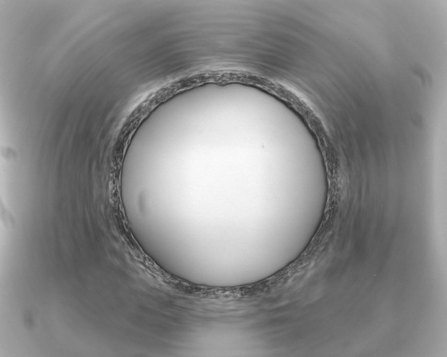 X0000091230823200708091112