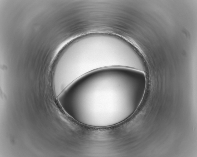 X0000091230830200708091112