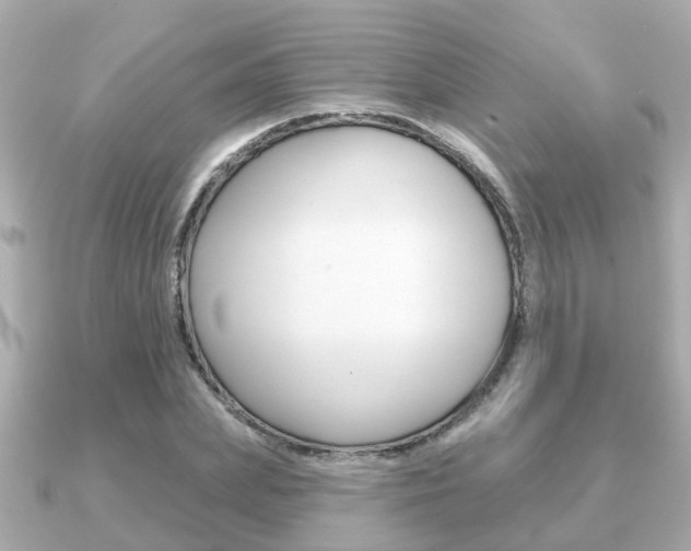 X0000091230831200708091112