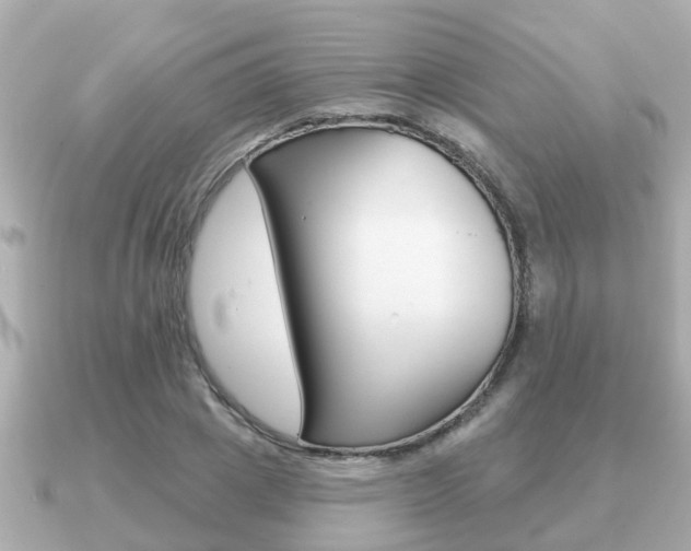 X0000091230833200708091112