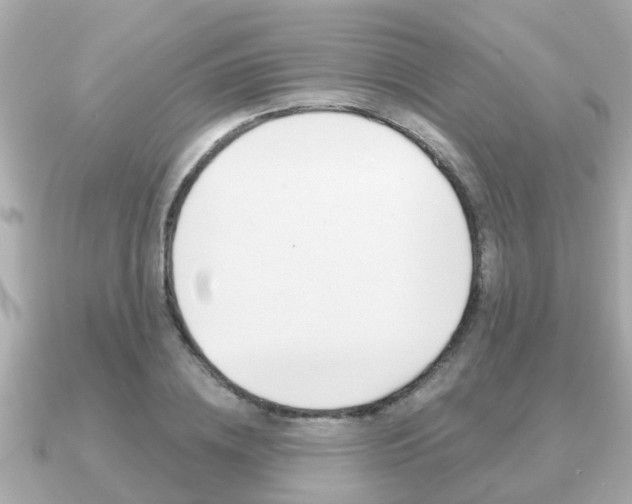 X0000091230836200708091112
