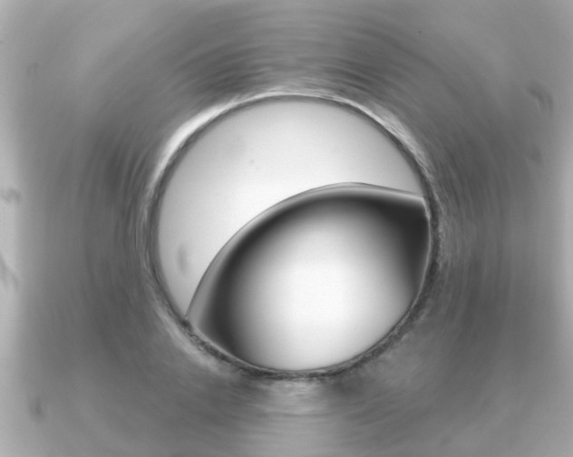 X0000091230838200708091112