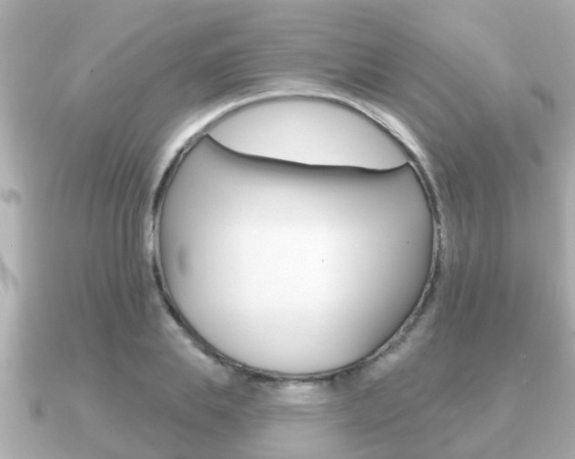 X0000091230839200708091112