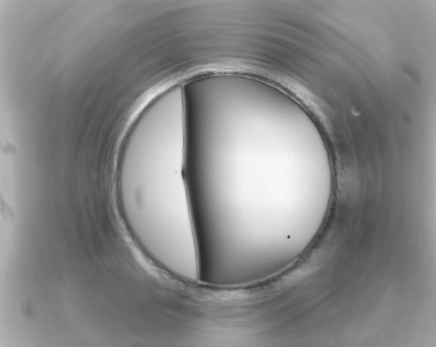 X0000091230845200708091112