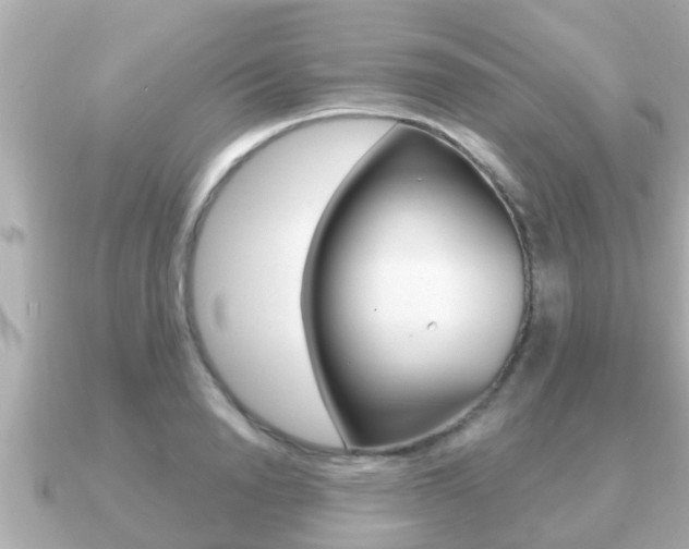 X0000091230846200708091112