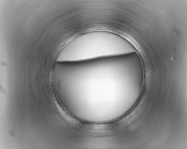 X0000091230849200708091112