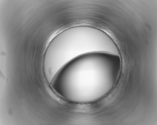 X0000091230850200708091112