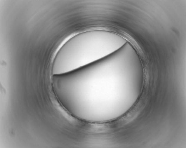 X0000091230852200708091112