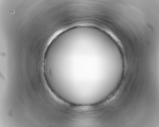 X0000091230853200708091112