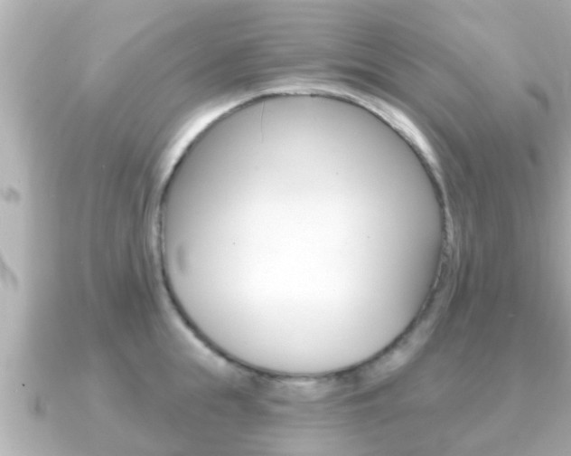 X0000091230855200708091112