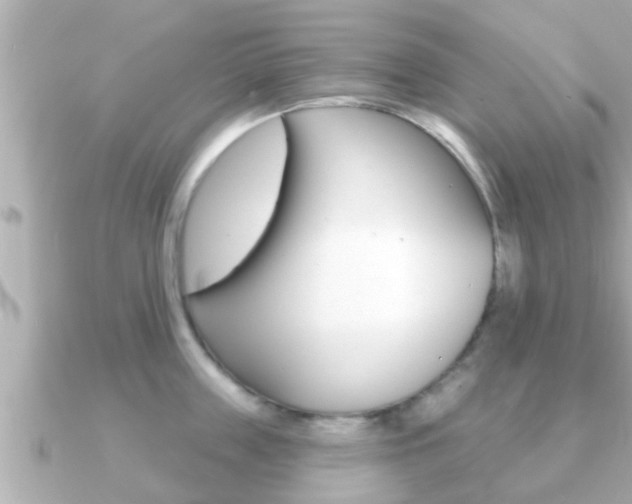 X0000091230859200708091112