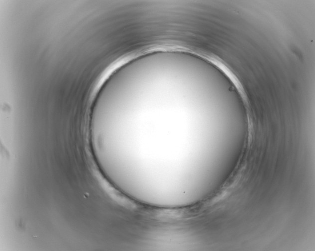 X0000091230861200708091112