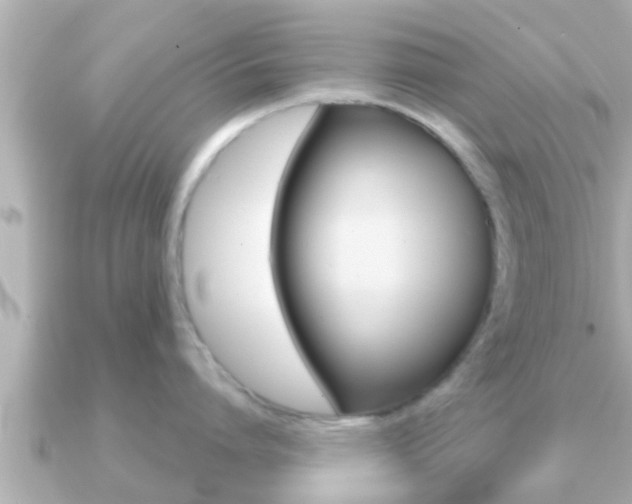 X0000091230864200708091112