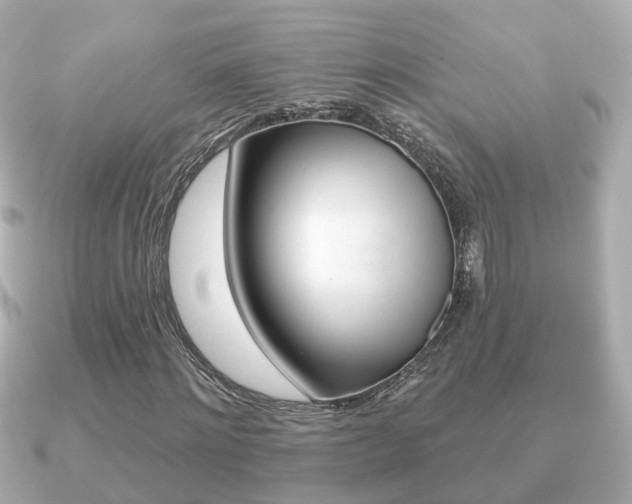 X0000091230868200708091111
