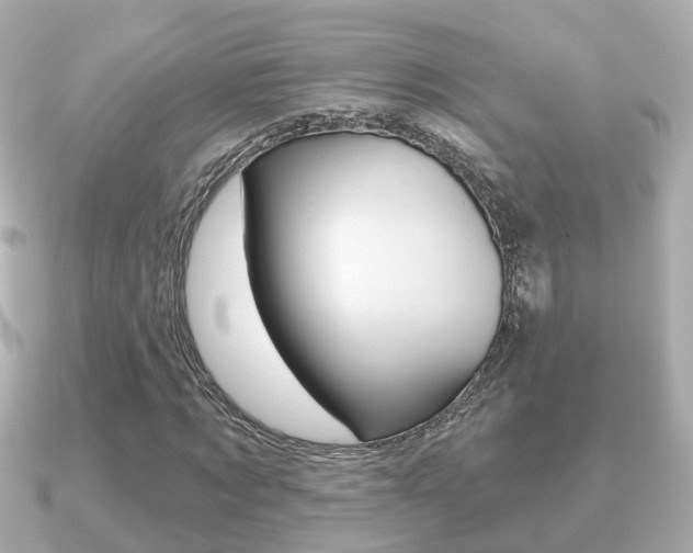 X0000091230869200708091111