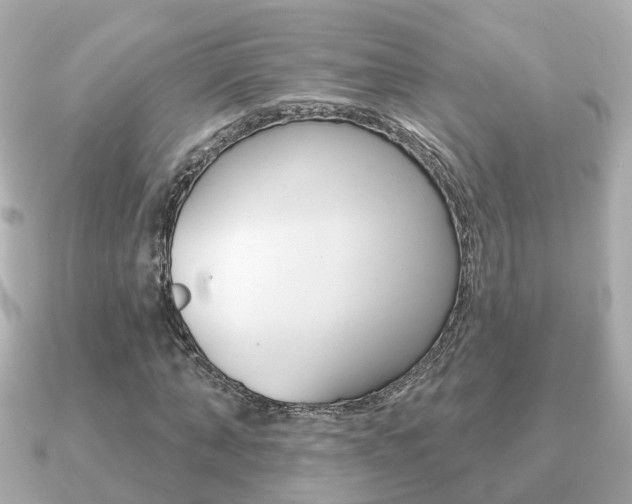 X0000091230870200708091111