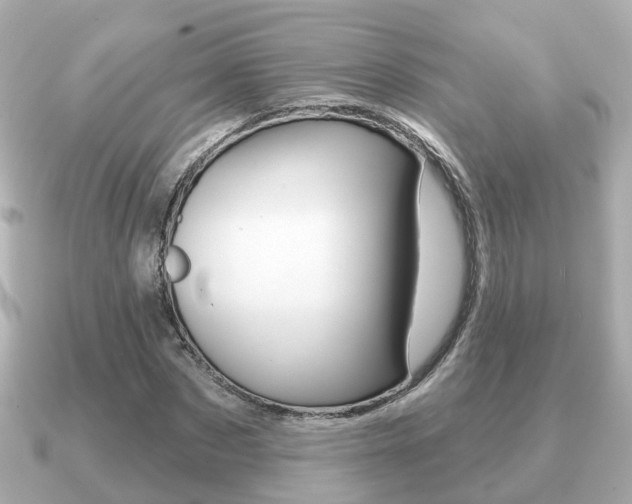 X0000091230873200708091111
