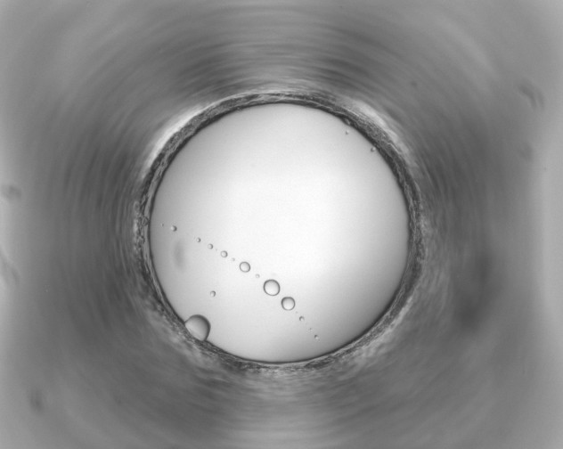 X0000091230875200708091111