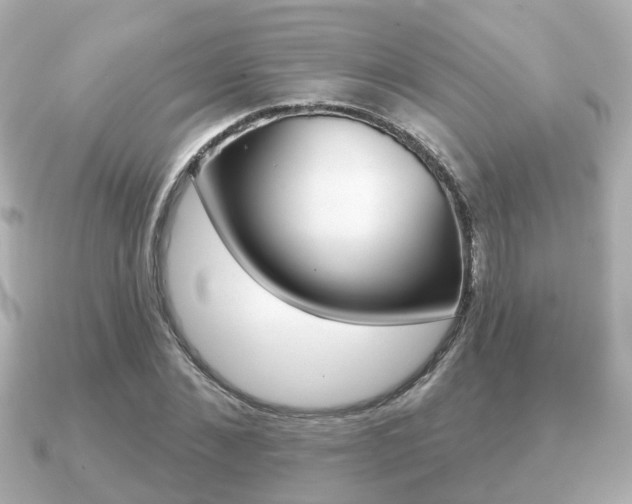 X0000091230876200708091111