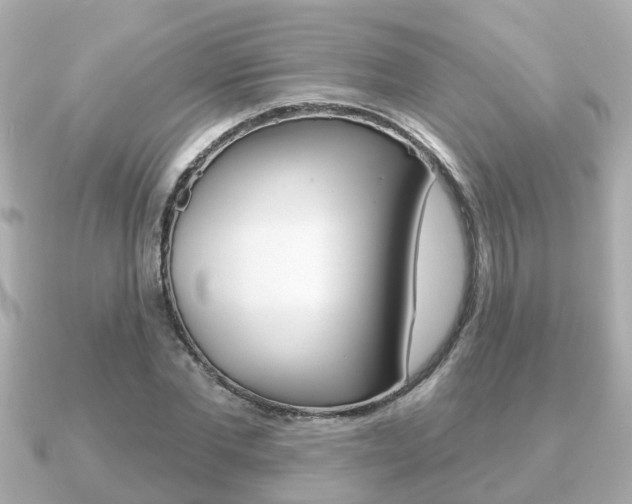 X0000091230877200708091111