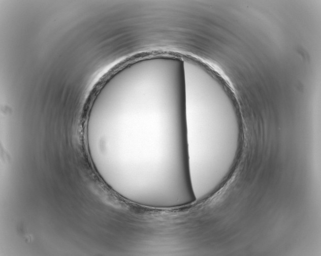 X0000091230879200708091111