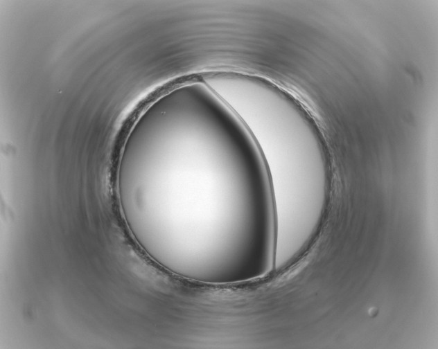 X0000091230880200708091111