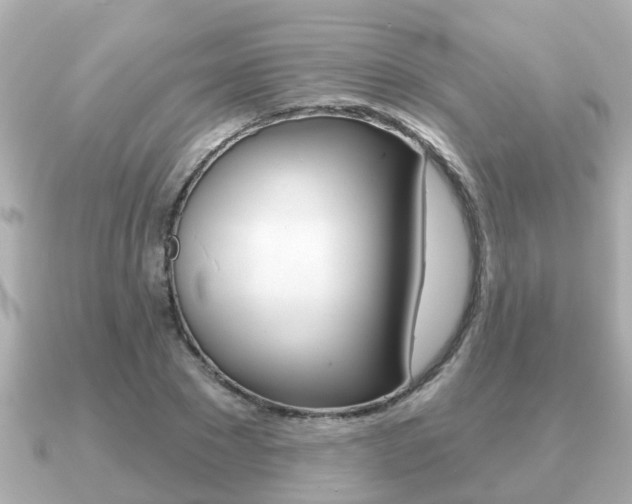 X0000091230881200708091111