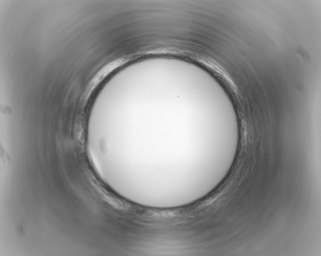 X0000091230882200708091111