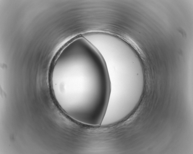 X0000091230884200708091111