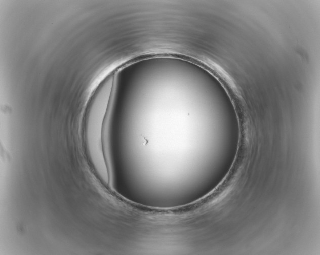 X0000091230885200708091111
