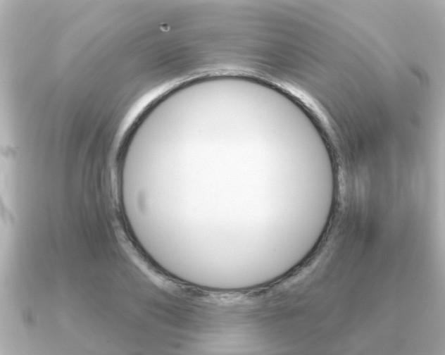 X0000091230886200708091111